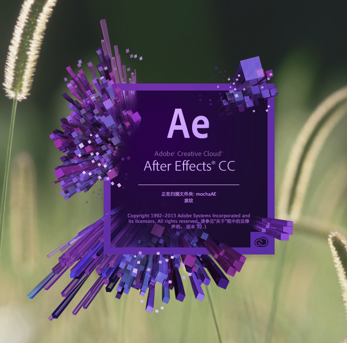 Приглашение на свадьбу проект adobe after effects